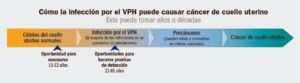 prevención del cáncer de cuello de útero evolución celular tras VPH