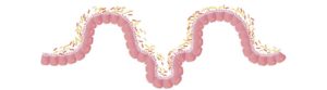microbioma