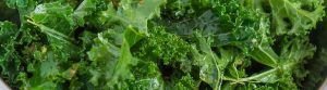 los vegetales de hoja verde nos ayudan a la protección cognitiva