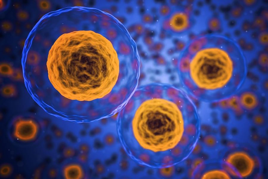 La Inmunoterapia CAR T Cell considerada como el mejor avance clínico del 2017 por la Sociedad Americana de Oncología Clínica