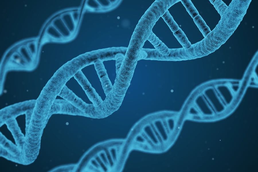Nanorobots de ADN transportadores de trombina para la lucha contra el cáncer