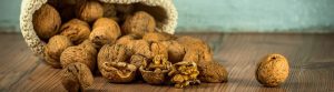 Nueces