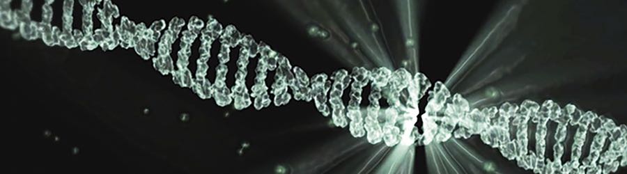 Análisis del ADN tumoral circulante para Cáncer de Mama: ¿futuro o realidad?